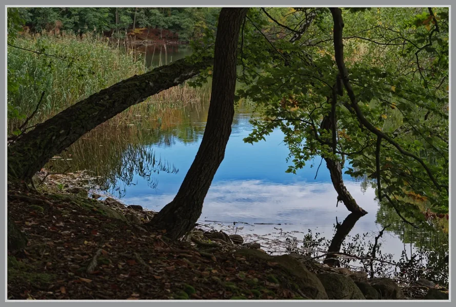 _small__IMG4498_1_DxO.webp