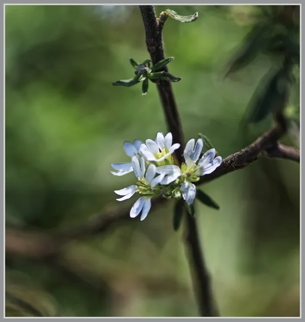 _small__IMG4539_1_DxO.webp
