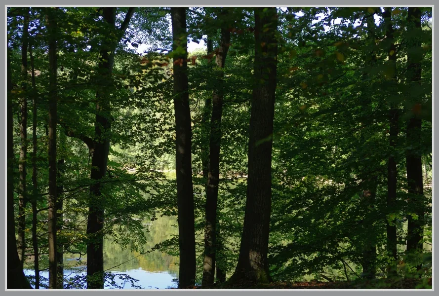 _small__IMG4558_1_DxO.webp