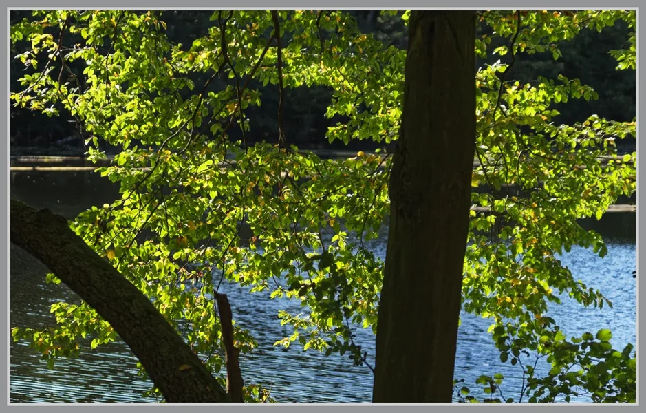 _small__IMG4562_1_DxO.webp
