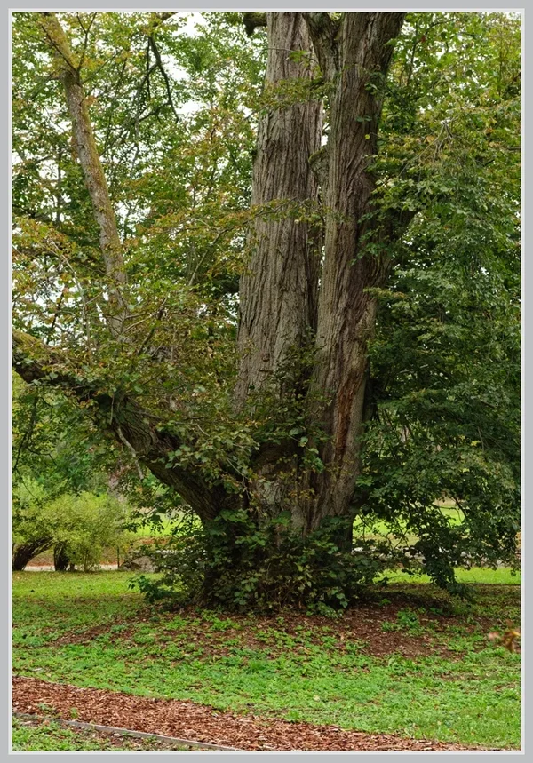 _small__IMG4639_1_DxO.webp