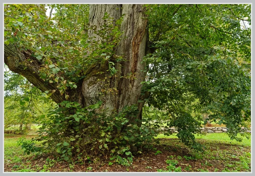_small__IMG4640_1_DxO.webp