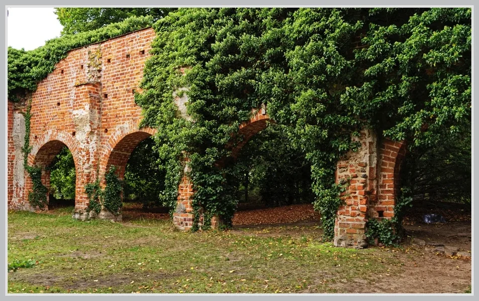 _small__IMG4678_1_DxO.webp