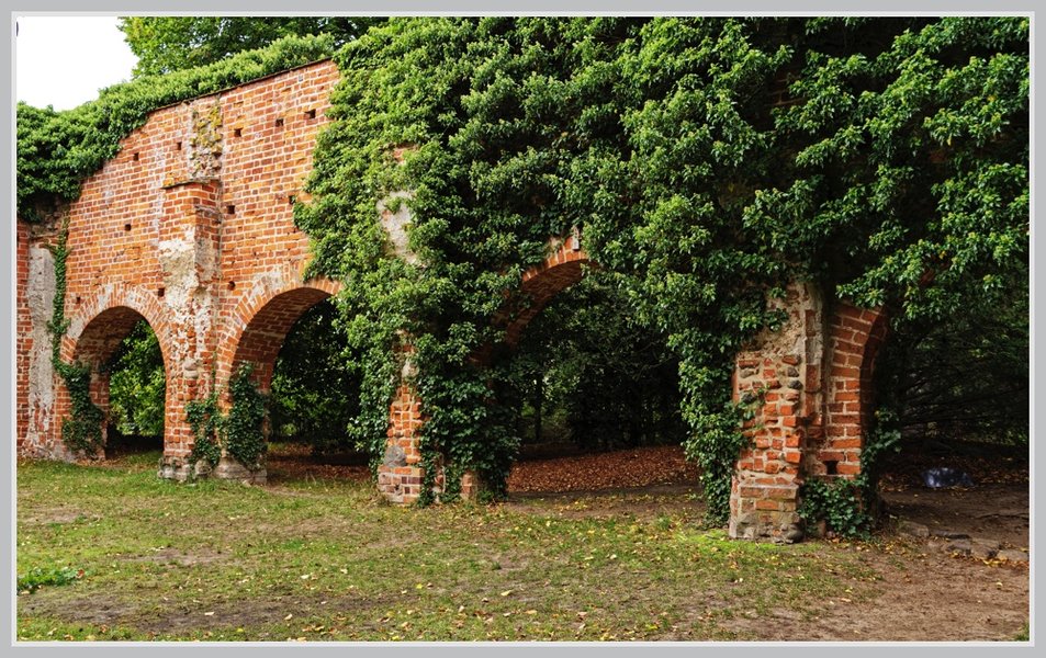 _small__IMG4678_1_DxO.JPG