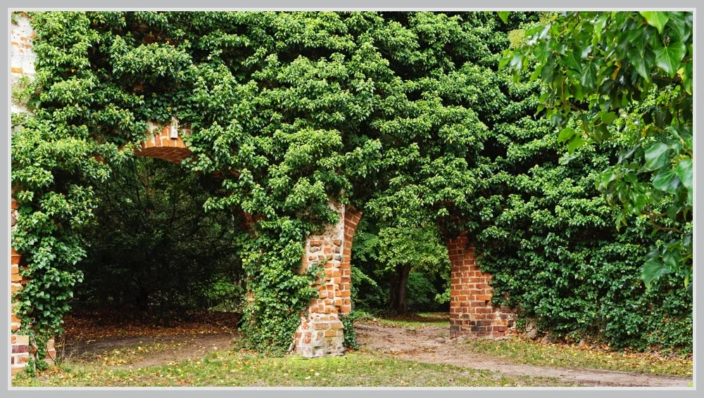 _small__IMG4689_1_DxO.webp