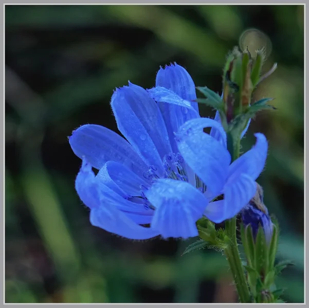 _small__IMG4715_1_DxO.webp