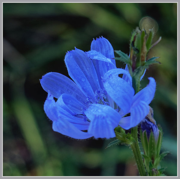 _small__IMG4715_1_DxO.JPG