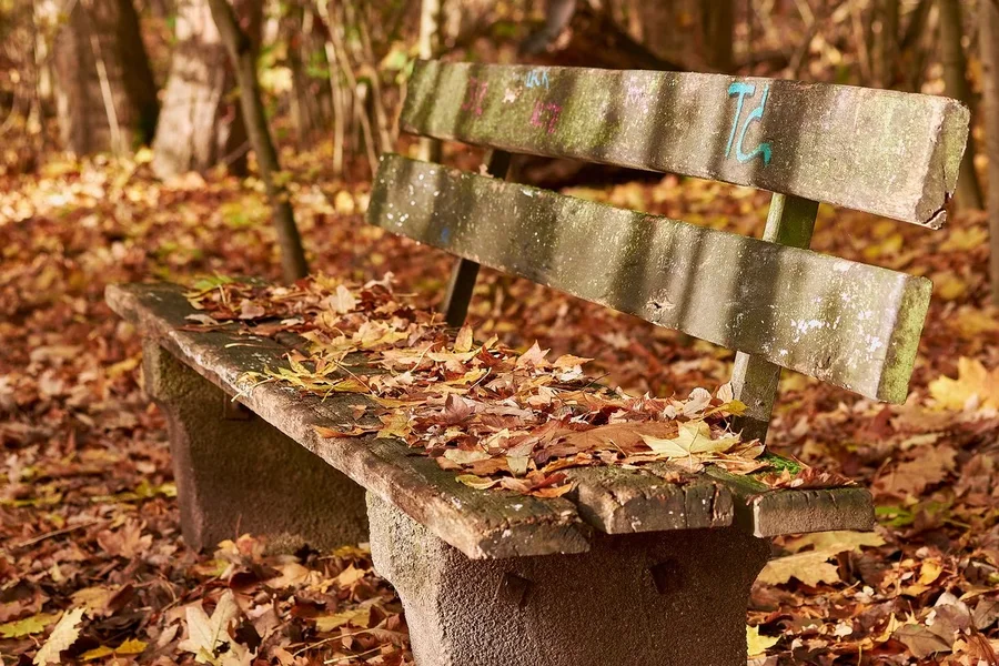 2020-11-14_HERBSTFARBEN_XT10152.webp