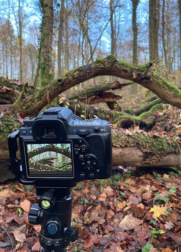 39FAF94C-6C5D-4FBA-B23B-34F65AA47C21.jpeg 39FAF94C-6C5D-4FBA-B23B-34F65AA47C21.jpeg