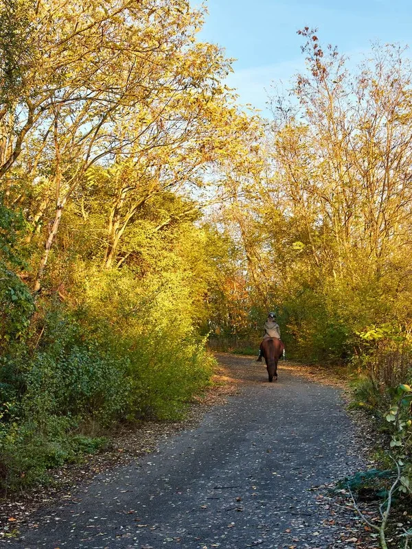 2020-11-18_HERBSTFARBEN_MG_9979.webp