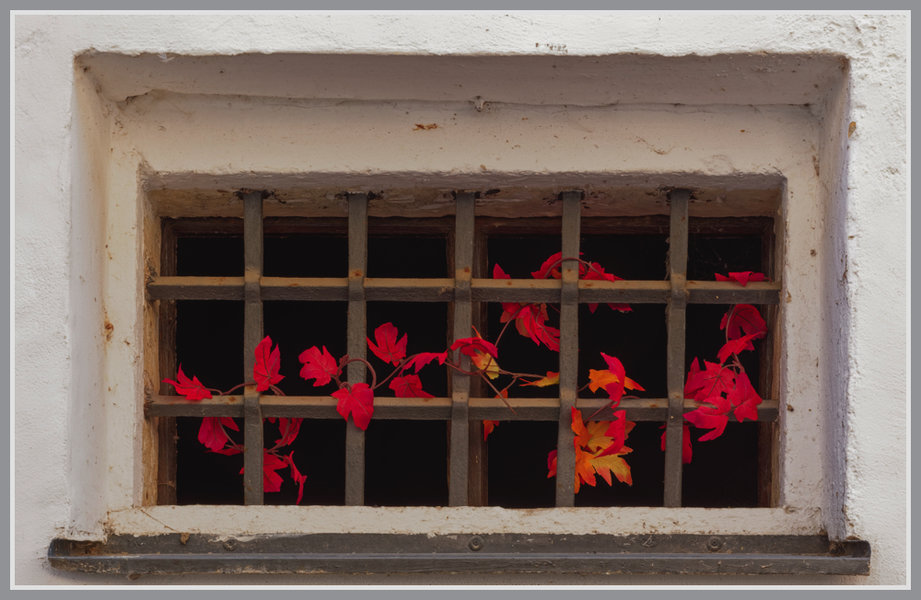 _small__IMG4066_1_DxO.JPG