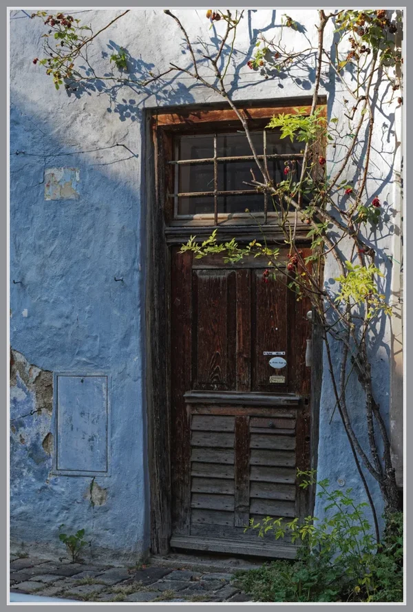 _small__IMG4068_1_DxO.webp