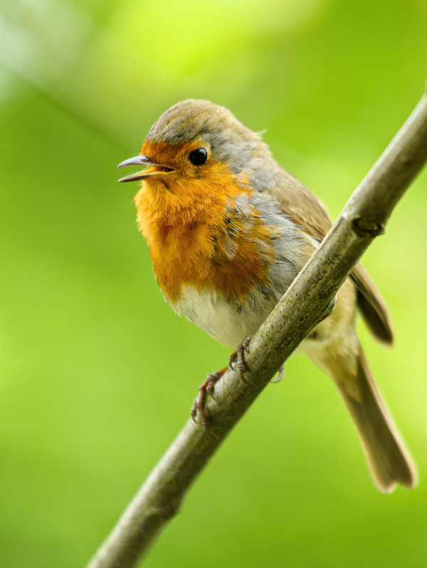 Krefeld 29.04.12_09.jpg