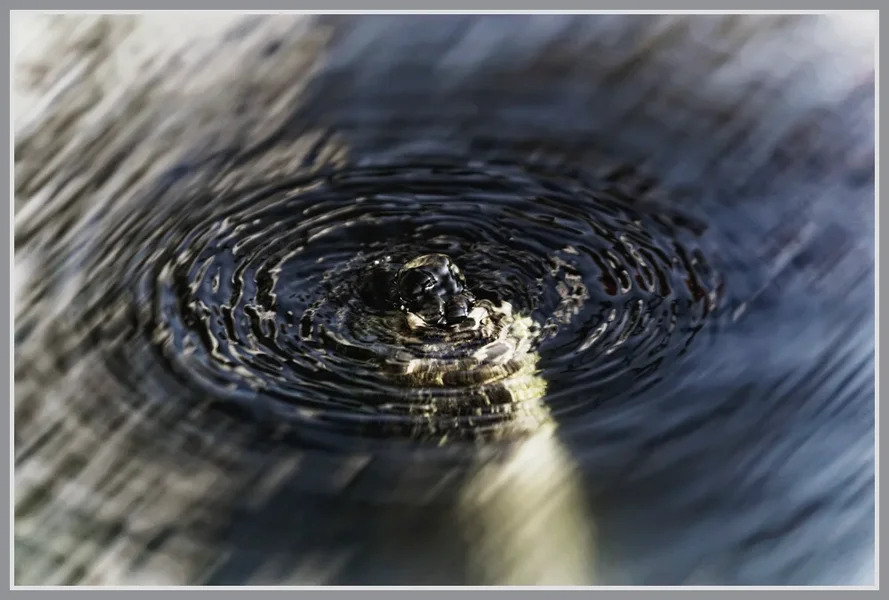 _small__IMG4076_Nik_DxO.webp