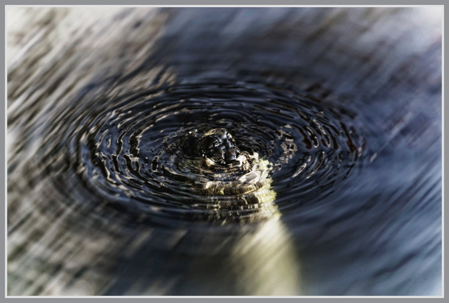 _small__IMG4076_Nik_DxO.JPG