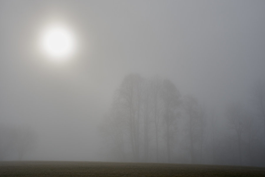 _D750502.jpg