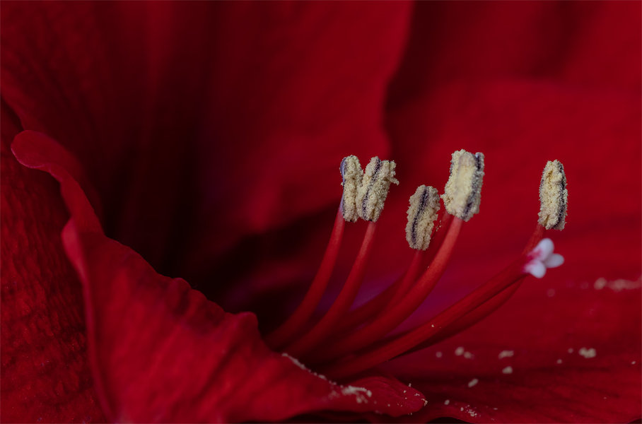 ci_PG9_1223-25_fs.jpg
