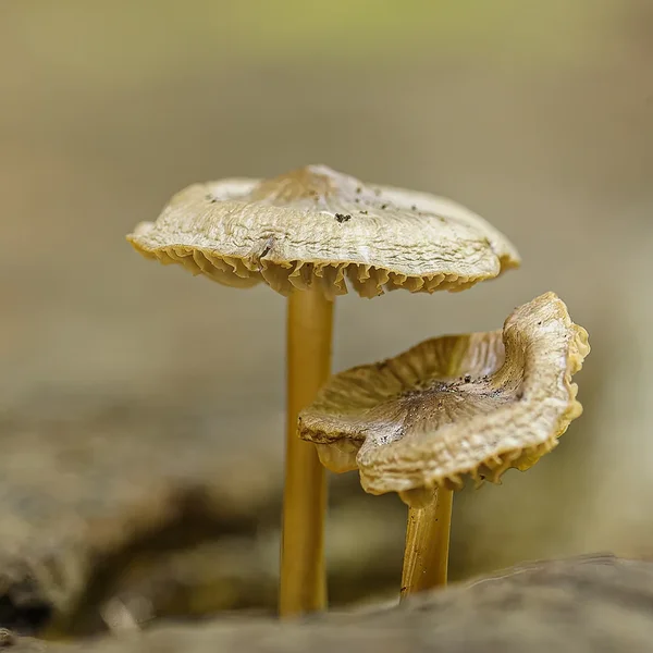 September 2013 (31 von 49)_DxO-Bearbeitet.webp
