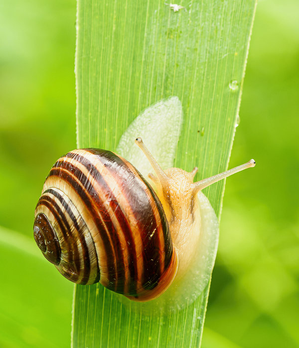 Wanderung Leuther Mühle Juni 2018_308.jpg