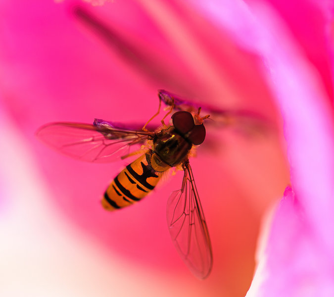 August 2013 (113 von 361)_DxO-Bearbeitet.jpg
