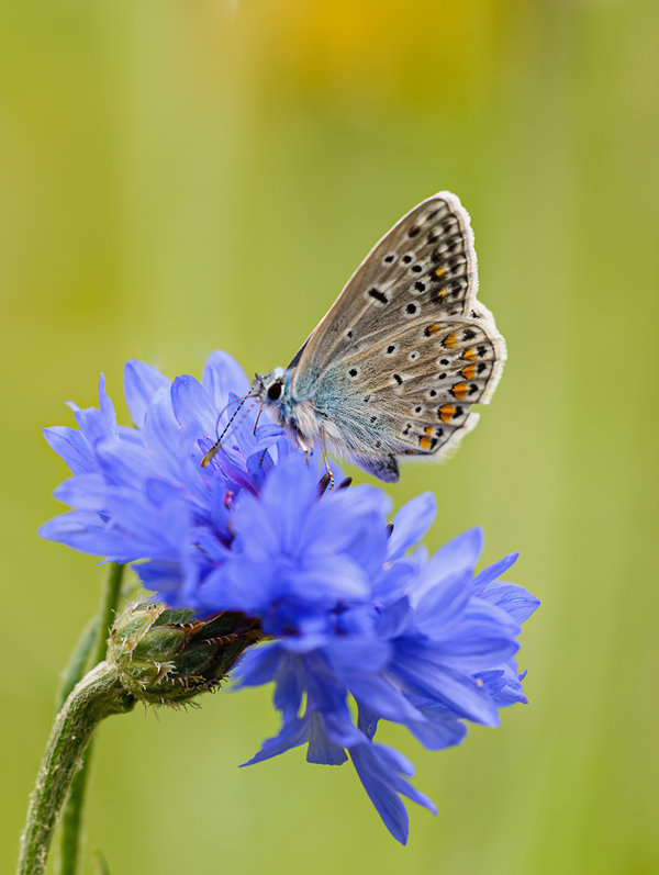 September 2013 (47 von 93)_DxO-Bearbeitet.jpg