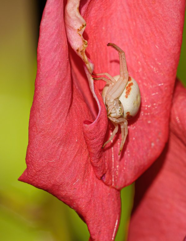 Juli 2014-145_DxO-Bearbeitet.jpg