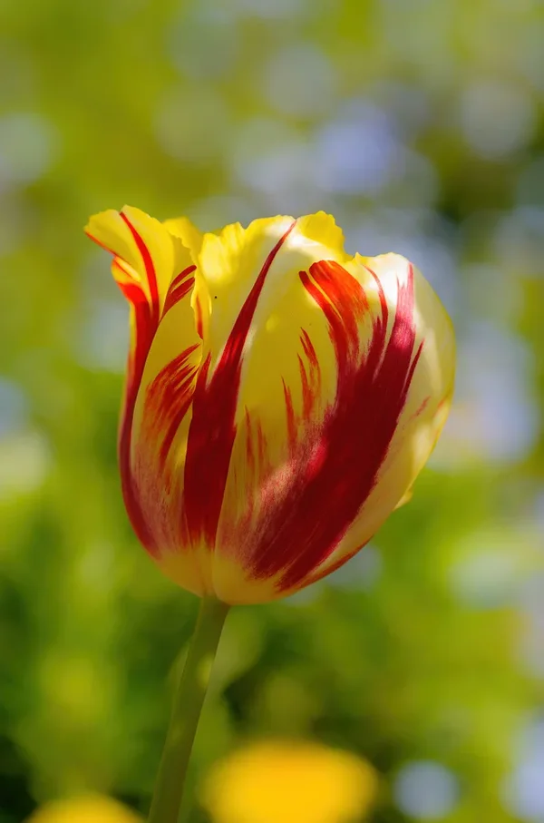 April 2014-107_DxO-Bearbeitet.webp