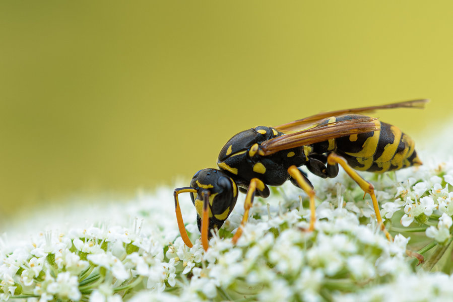 Juli 2015-54_DxO-Bearbeitet.jpg