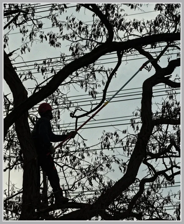 _small__IMG4993_1_DxO.webp
