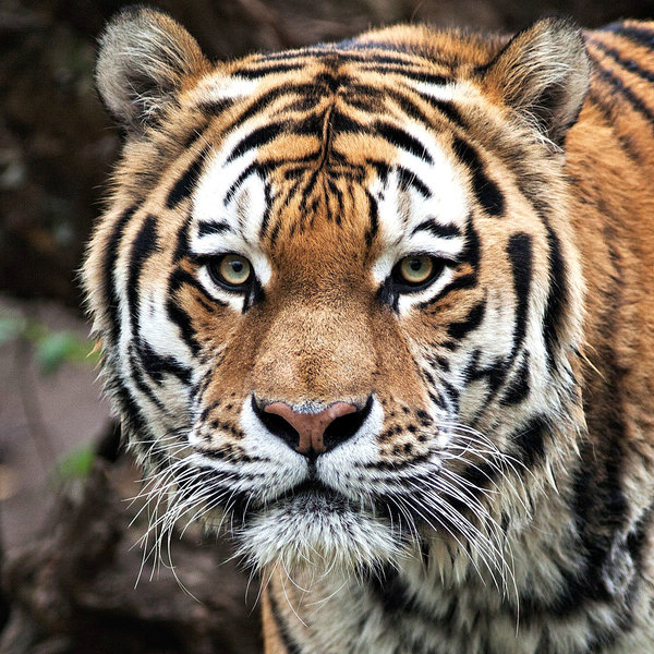 comp__MG_1657.jpg comp__MG_1657.jpg