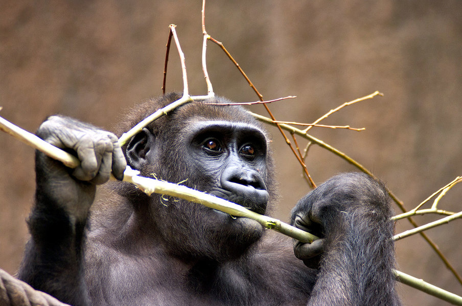 _K209174.jpg _K209174.jpg