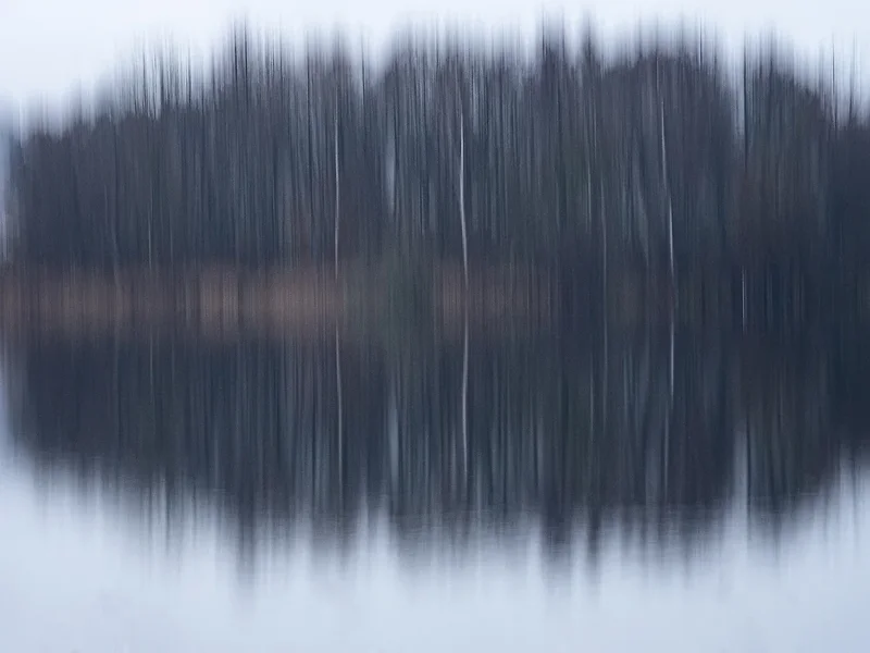 20201212_151809_017.webp