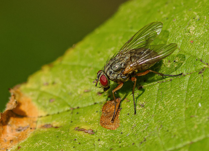 November_2  2020.jpg