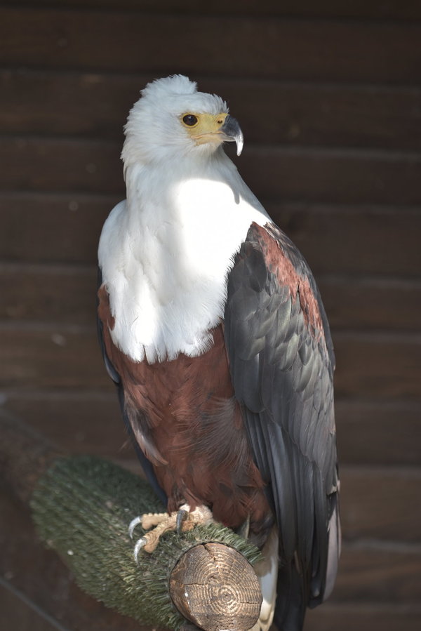 DSC_7948.JPG