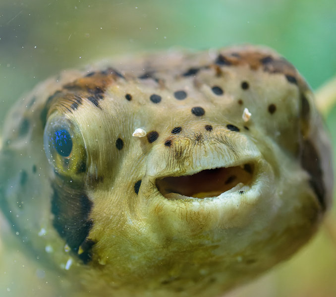 Lübeck Mai 2015_0466_DxO-Bearbeitet.jpg