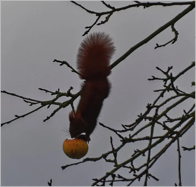 _small__IMG1617_2_DxO.webp