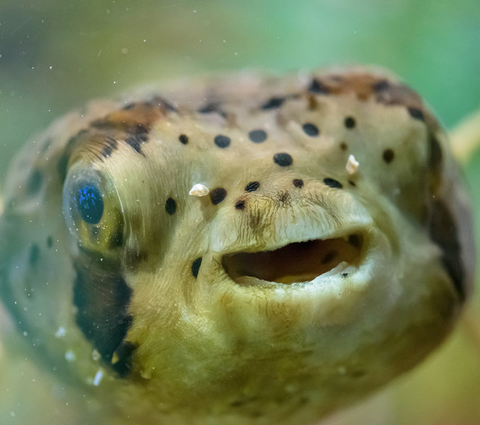 Lübeck Mai 2015_0466-Bearbeitet.jpg