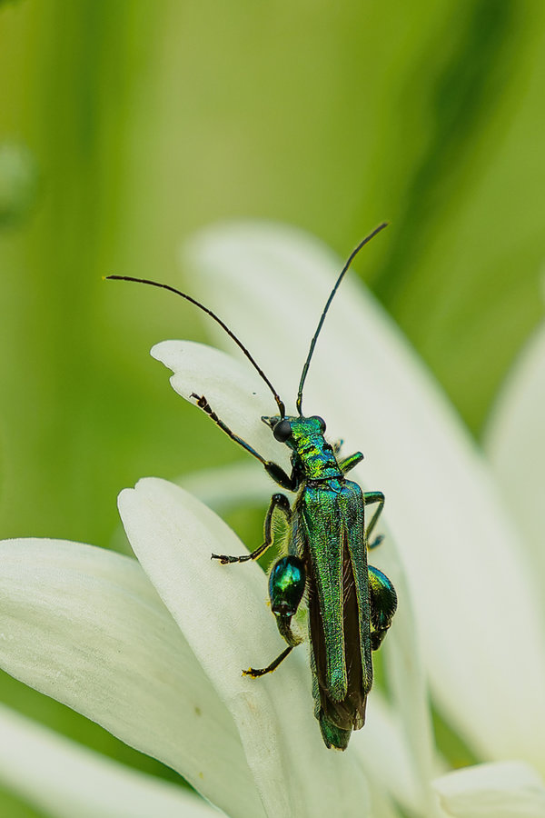 Mai 2018-444_DxO-Bearbeitet.jpg