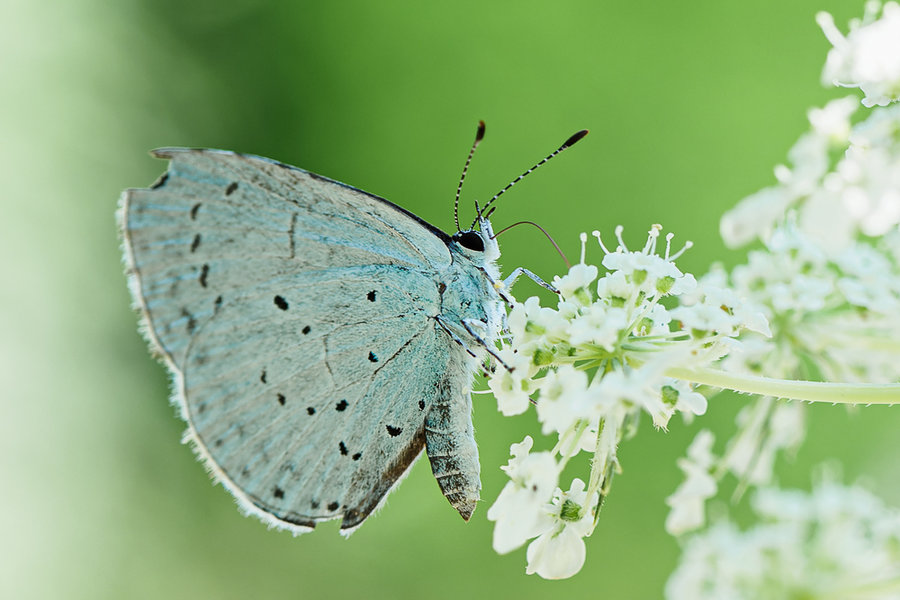 Juli 2018-111_DxO-Bearbeitet.jpg