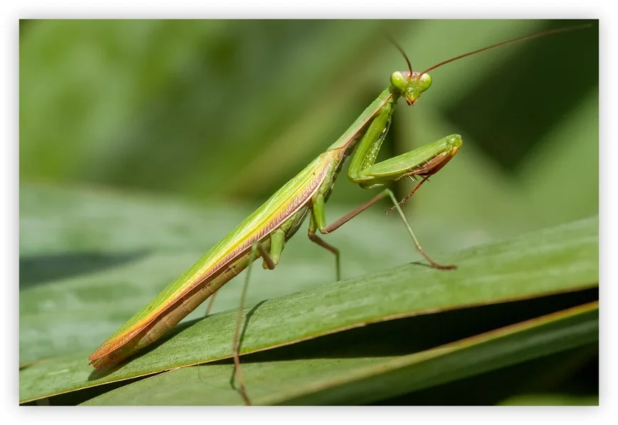 Posing Sept 2010.webp