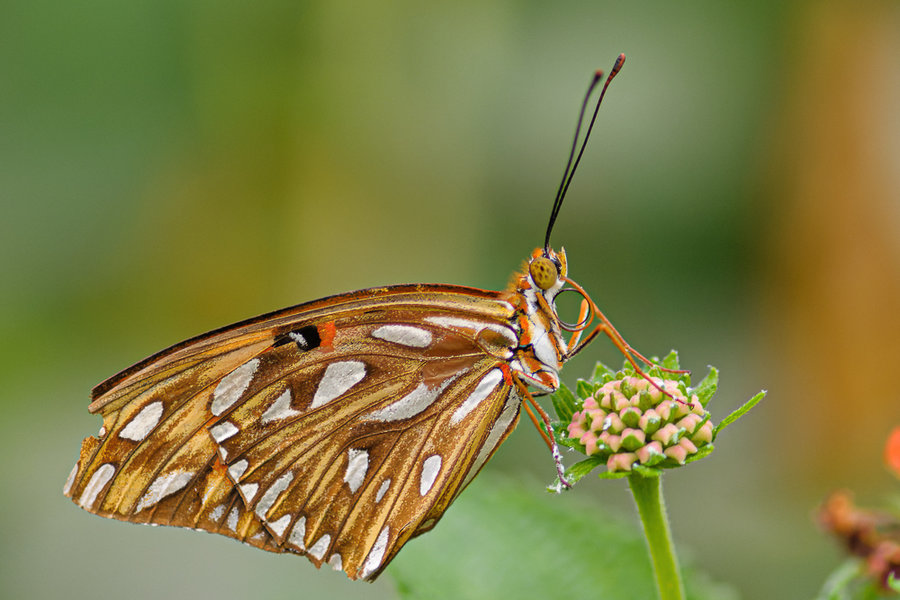 Krefeld 15.05.11_0012_DxO-Bearbeitet.jpg