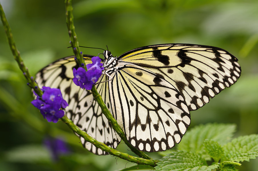 Krefeld 23. und 24.06.12_0001_DxO-Bearbeitet.jpg