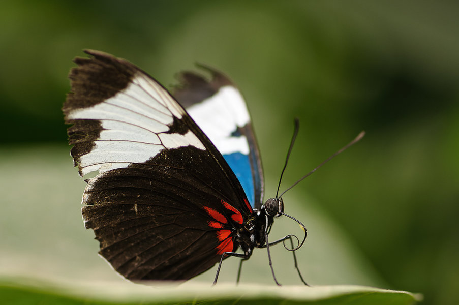 Krefeld 23. und 24.06.12_0035_DxO-Bearbeitet.jpg