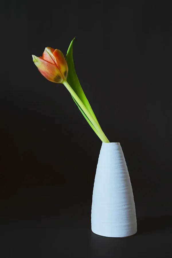 ci_A7300047_opt.jpg