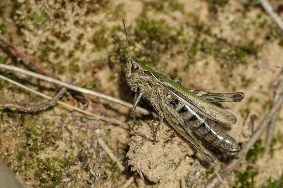 Weißer Stein 21.09.10_0018_DxO-Bearbeitet.jpg