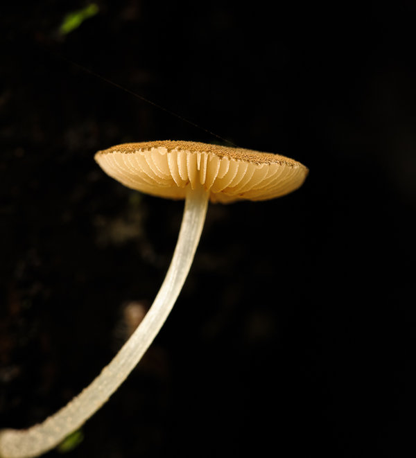 Krefeld 13.09.08_0035_DxO-Bearbeitet.jpg