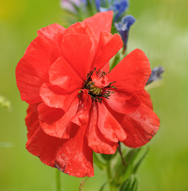 September 2013 (1 von 93)_DxO-Bearbeitet.jpg