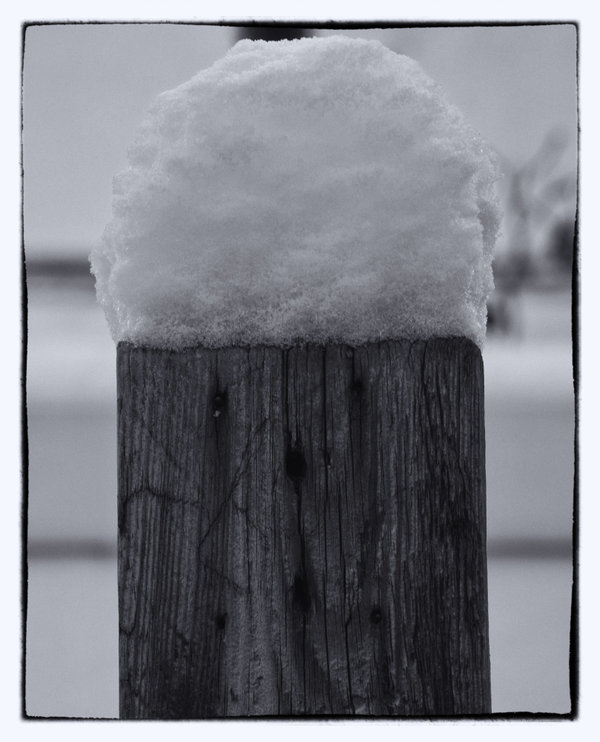 _small_IMGP5055_Nik_DxO.JPG