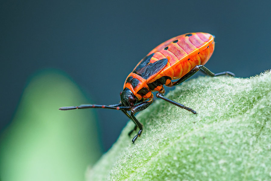 August 2019-70_DxO-Bearbeitet.jpg