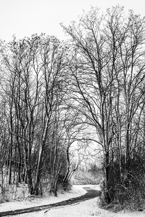 ci_A7300166_sw.jpg